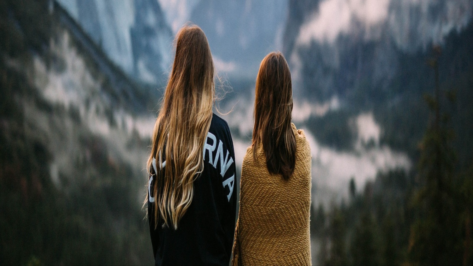 نحتاجُ من يُقاسمنا أَفراحنا، بهجتنا، انتصاراتنا، وكذلك نجاحنا، نحتاجُ من نرى في عينيه لمعةً وضياءً لأفراحنا كأنها أفراحهم هم، يُسرون لأجلنا، يُسعدونا بإطلالتهم الدائمةِ المُشرقة